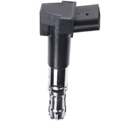 066905100C Части двигателя Зажигательная катушка для VW PASSAT B5.5 (3B6)